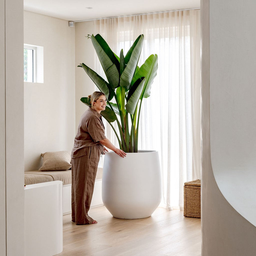 JITT Planter by The Balcony Garden US