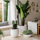 Straight Up planters grouped in Concrete Grey, White, and Charcoal colors