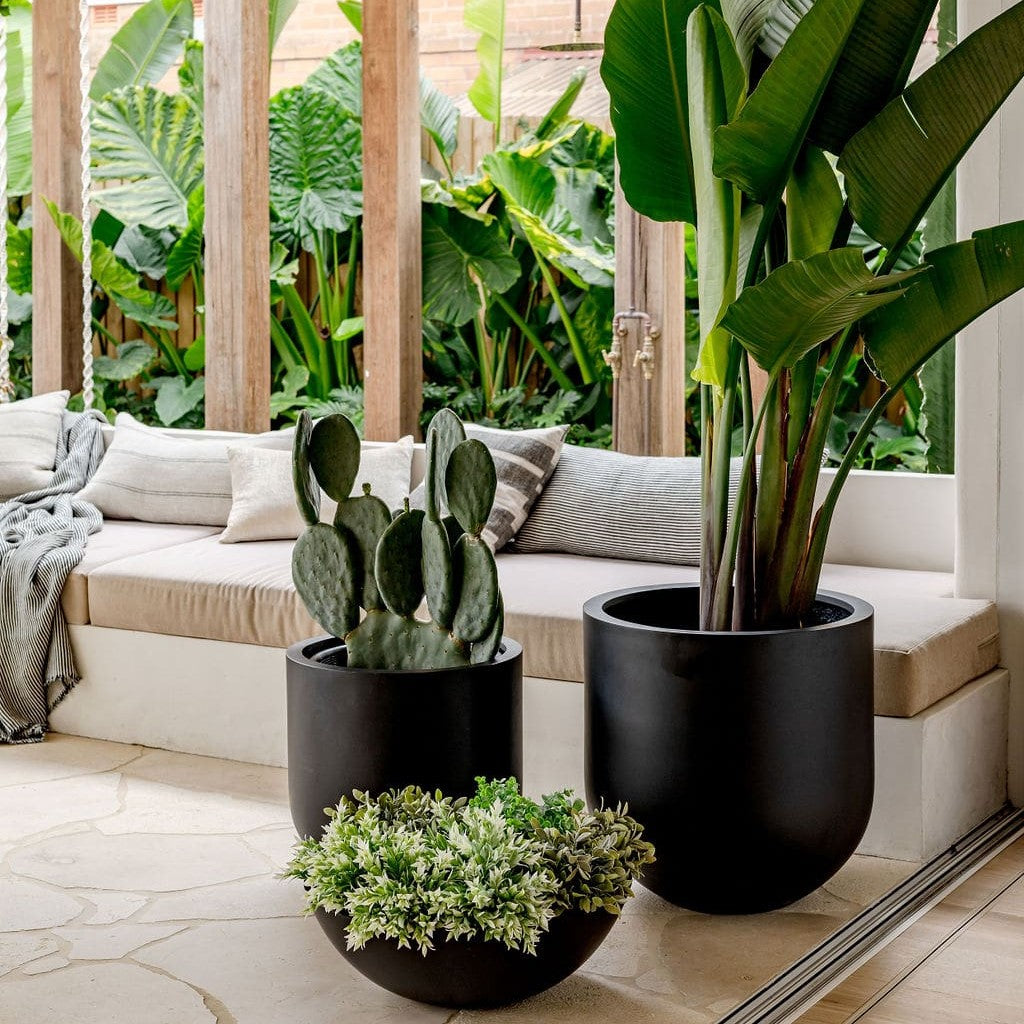 Straight Up Planter by The Balcony Garden US