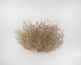 Gigantic Country Tumbleweed by DriedDecor - main product image for Resin Society