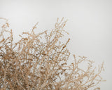 Gigantic Country Tumbleweed by DriedDecor - product image 3 for Resin Society