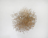 Gigantic Country Tumbleweed by DriedDecor - product image 2 for Resin Society