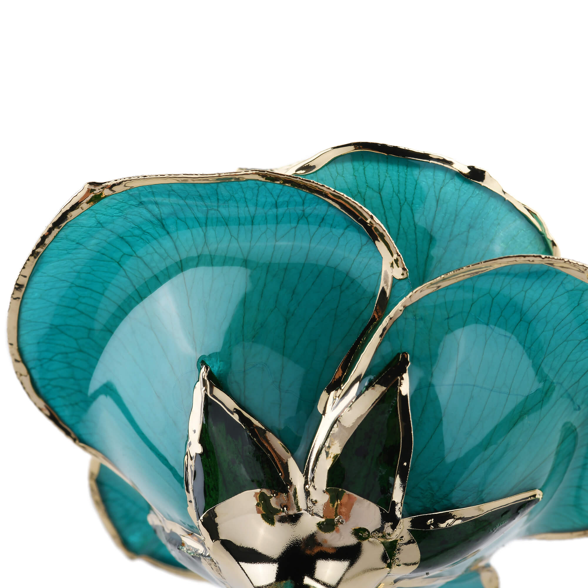 Timeless Rose (Teal) by ROSEPHORIA