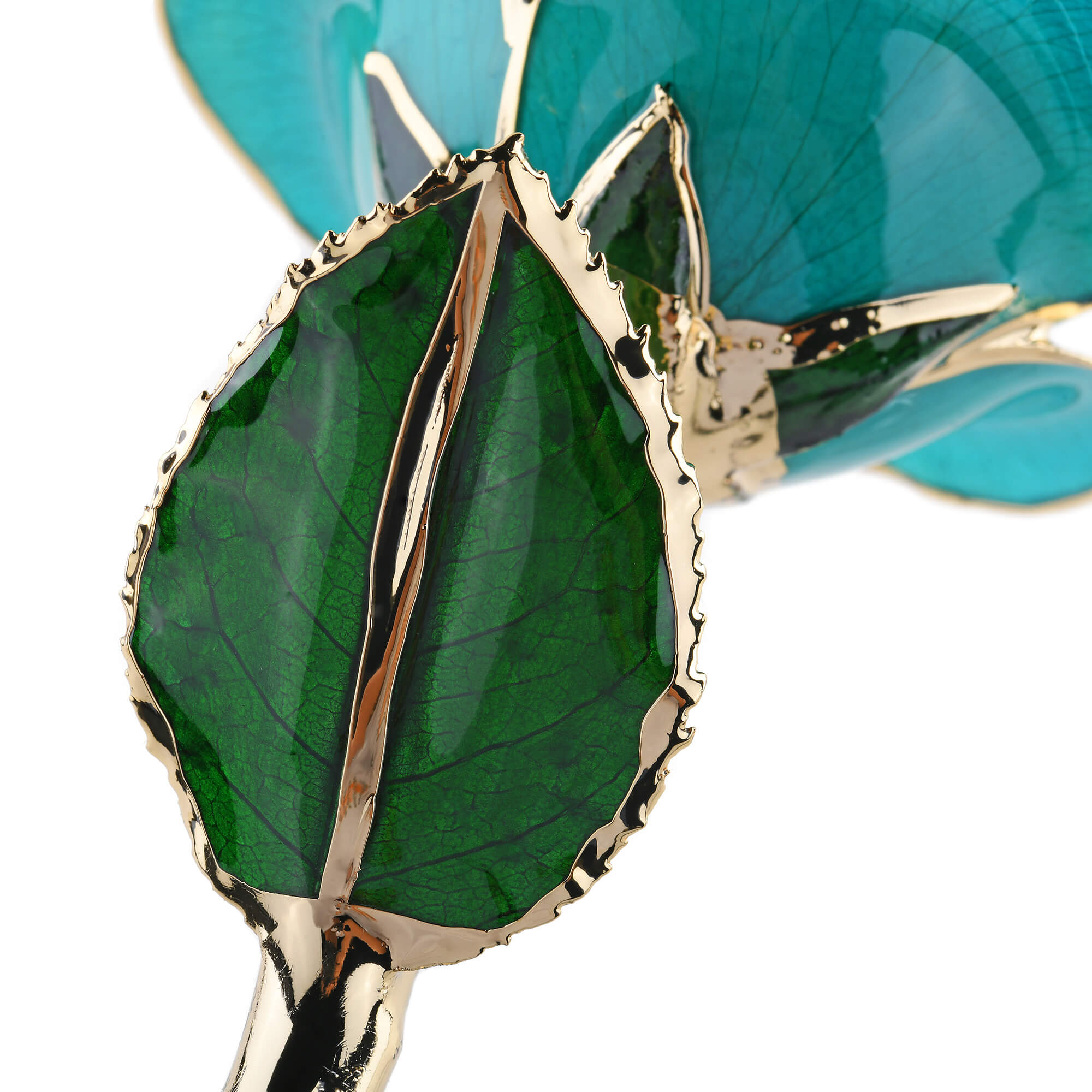 Timeless Rose (Teal) by ROSEPHORIA