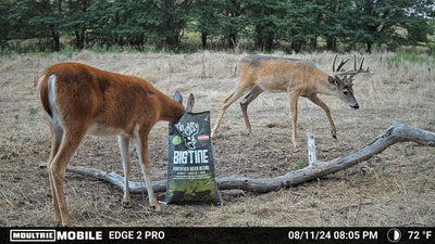 Big Tine Fortified Deer Blend Pear