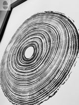 18x24 Tennessee Tree Print of Paulownia Empress by lintonart showing detailed tree ring art on white paper