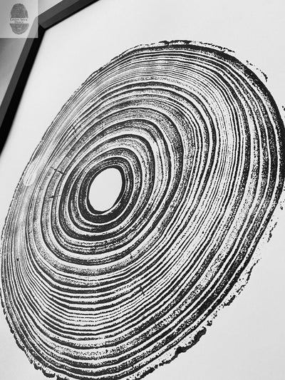 18x24 Tennessee Tree Print of Paulownia Empress by lintonart showing detailed tree ring art on white paper