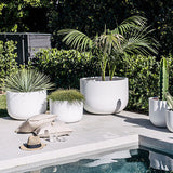 Three white round planters with diverse green plants beside a pool, set on pale concrete with beige cushions, hat, and clear glasses, backed by a dark wooden fence and greenery.