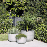 Three smooth gray concrete planters of varying sizes arranged on a patio, each containing different green plants, set against a dense leafy hedge with some flowers visible.