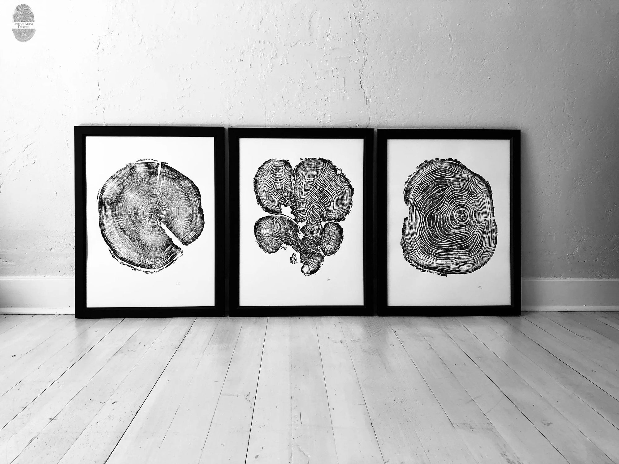 Three Panel Wall Art featuring woodcut prints of tree rings from Pine, Cedar, and Locust trees
