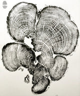 Black and white woodcut print showing detailed tree rings and irregular growth patterns in an abstract multi-lobed form on a pale background.