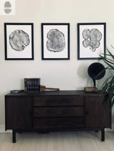 Three framed black-and-white woodcut prints of tree cross sections arranged horizontally on a white wall above a dark wooden sideboard with antique books and a vintage gramophone.
