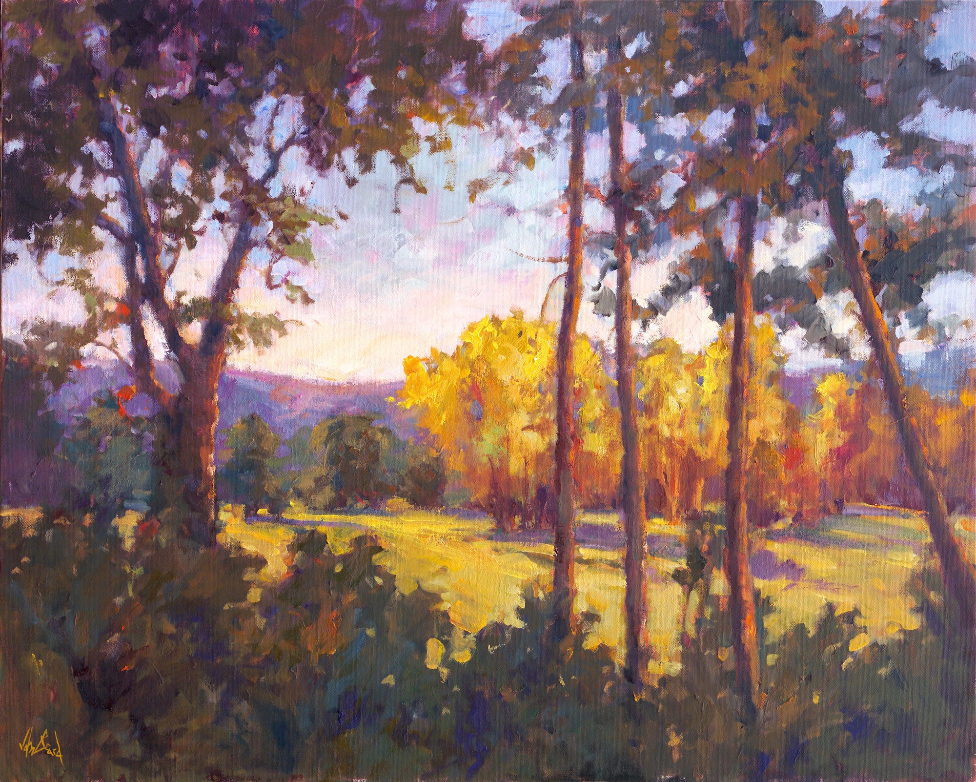 Through the Trees Artist Enhanced Canvas Print by John Beard Collection - main product image for Resin Society
