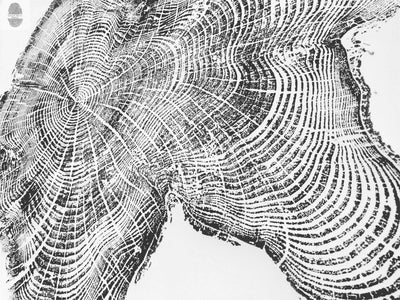 Tillamook, Oregon Coast Driftwood - 24x36 print