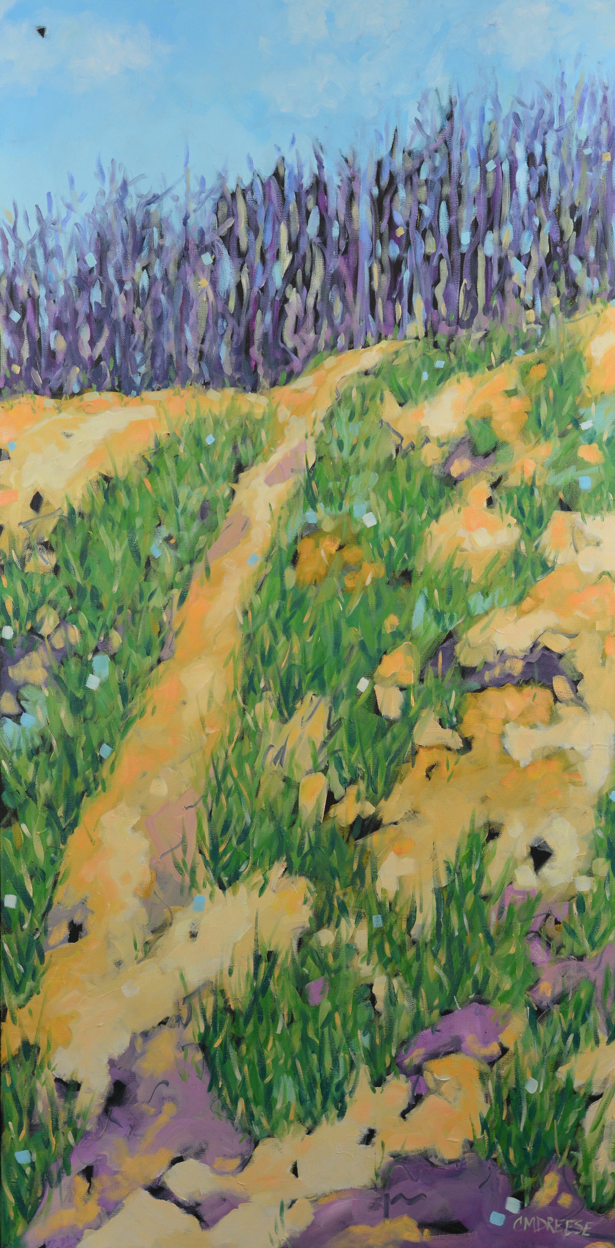"Trails Amongst the Dunes" Oil Painting on Canvas. Artist Christi Dreese by Dreese Fine Art - main product image for Resin Society