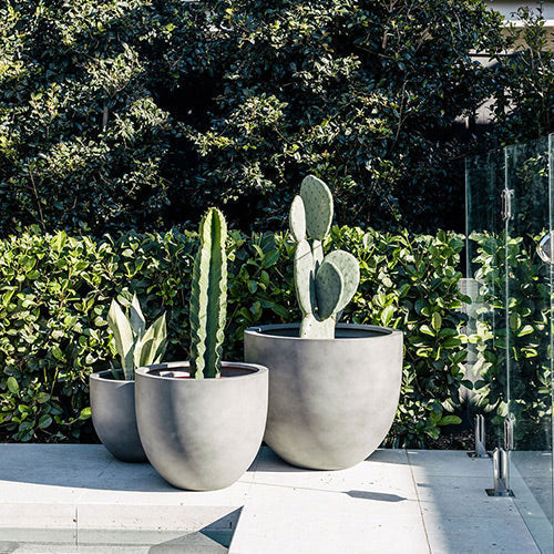 Tub Planter by The Balcony Garden US