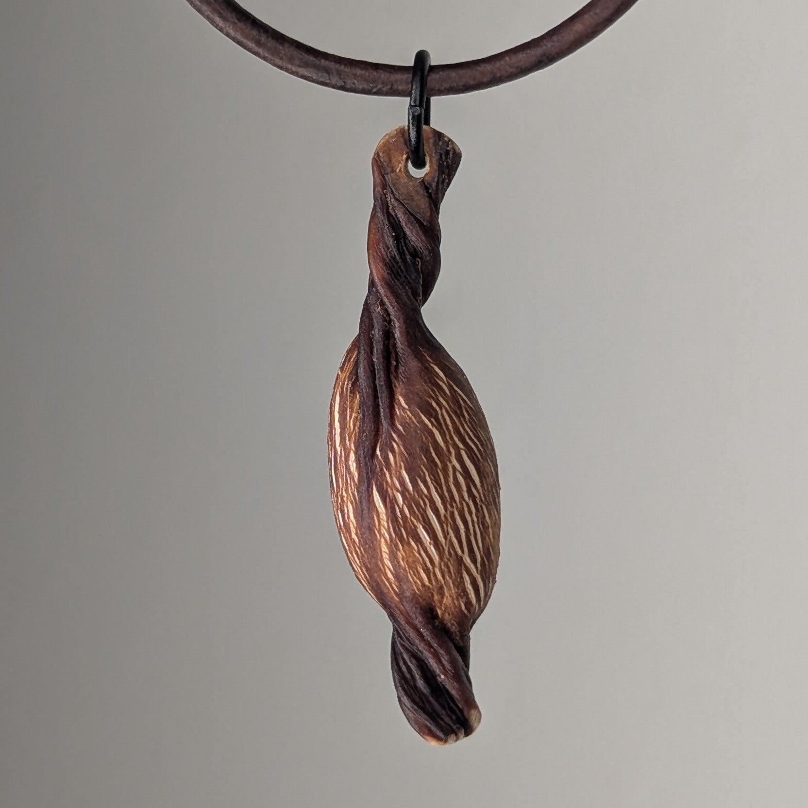 Turbinophycis Necklace by Versiliy