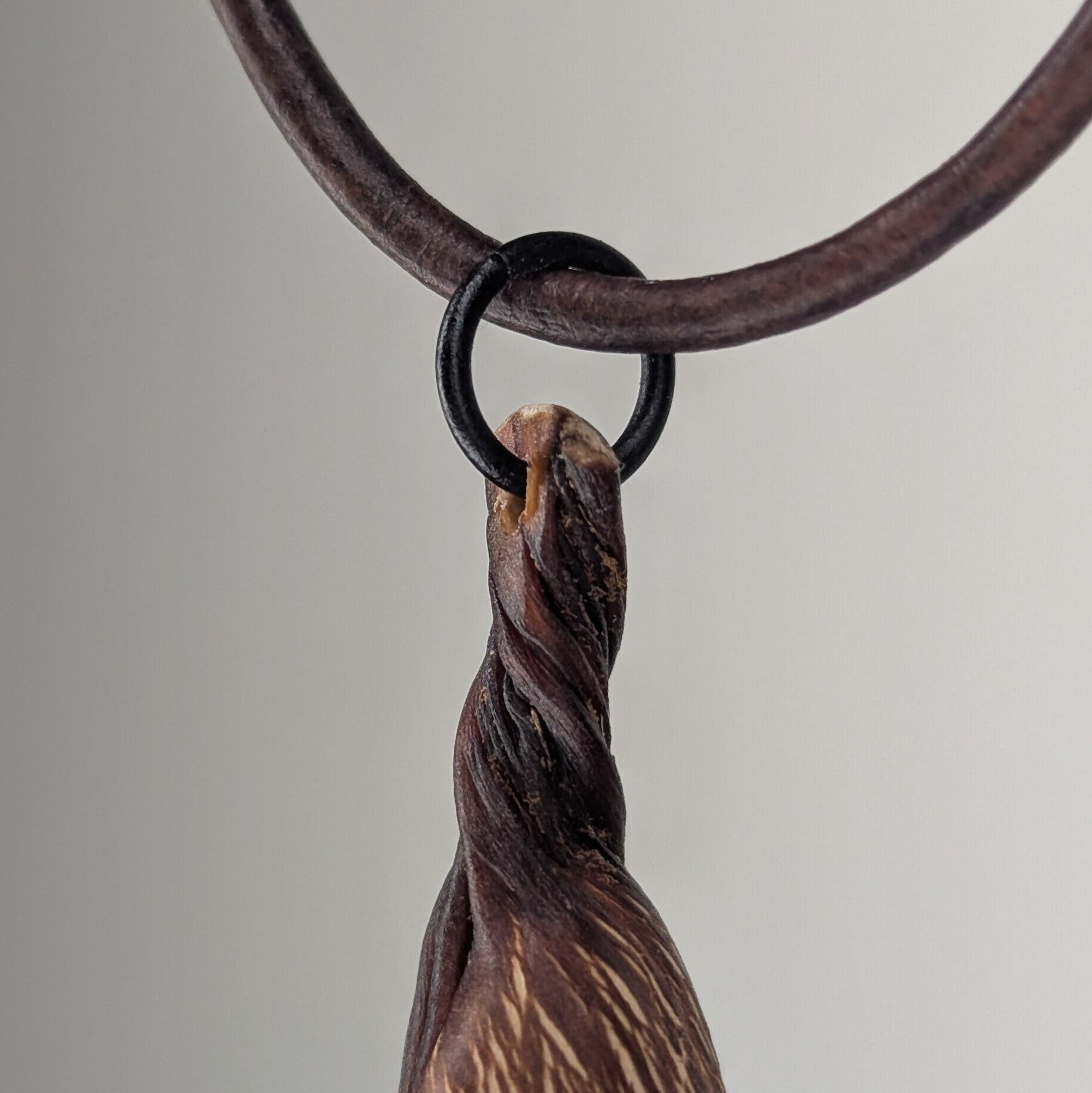 Turbinophycis Necklace by Versiliy