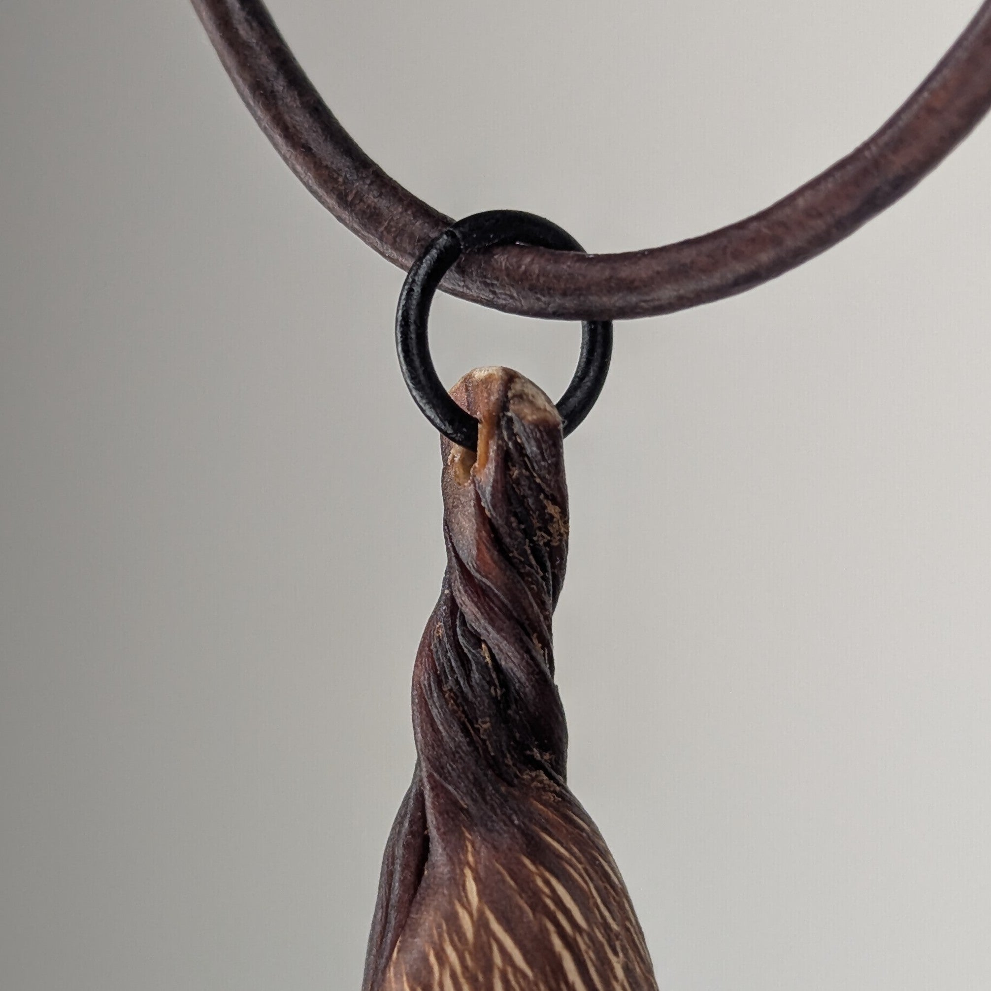 Turbinophycis Necklace by Versiliy