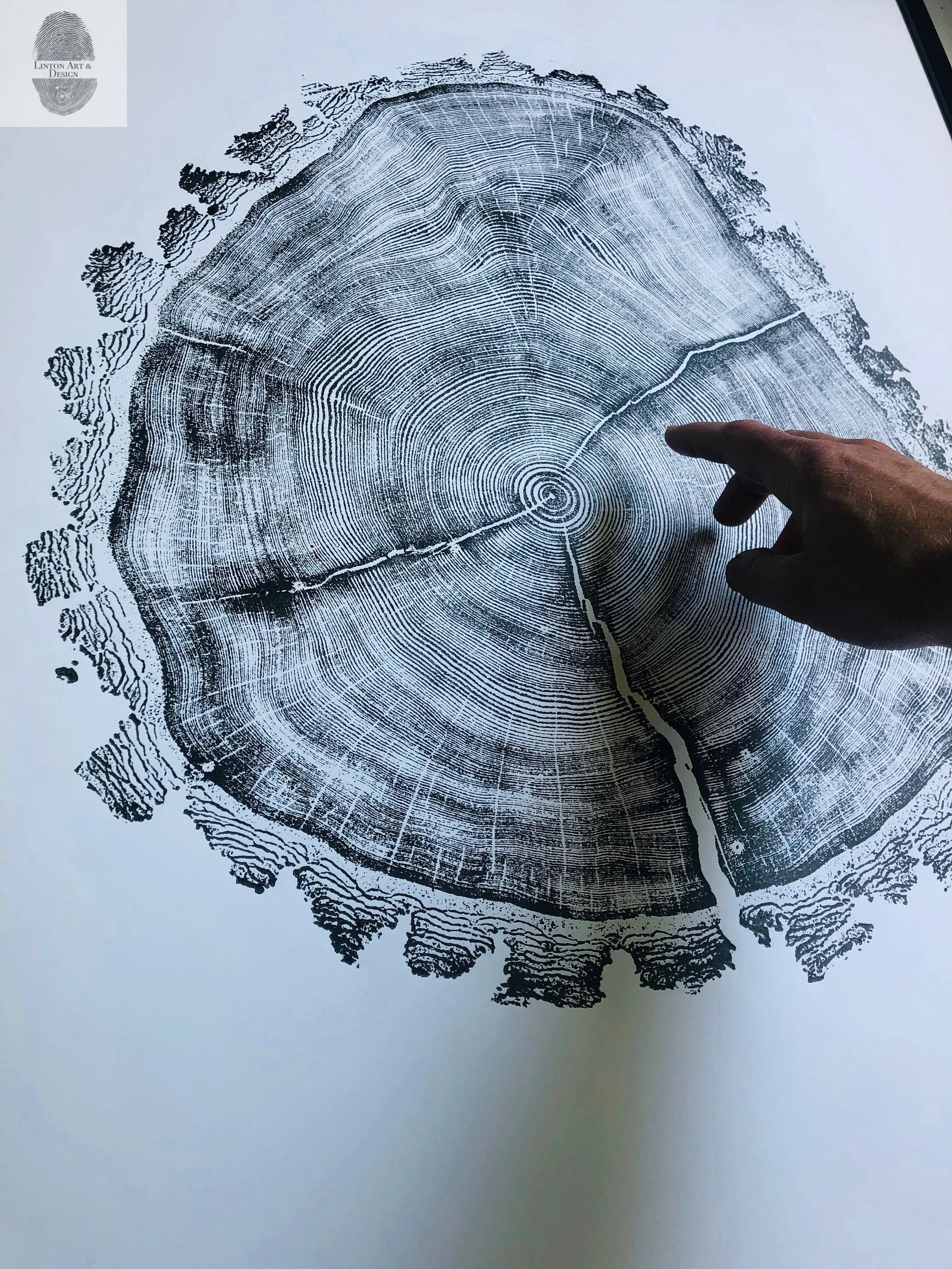 Utah Art Tree Ring Print showing natural wood slice rings in fine detail, 24x36 inches by Erik Linton