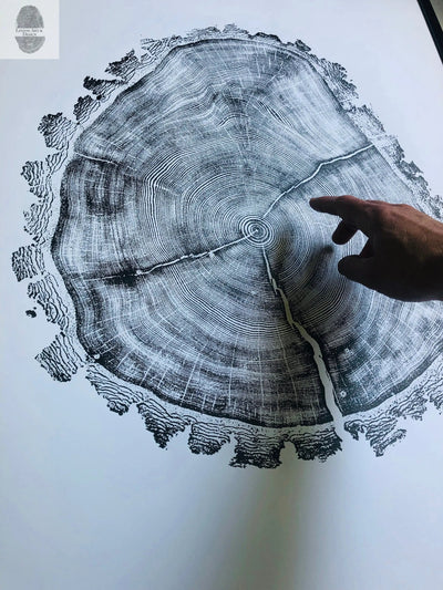Utah Art Tree Ring Print showing natural wood slice rings in fine detail, 24x36 inches by Erik Linton
