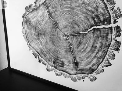 Utah Art, Tree Ring Print, Natural Wood Slice Wall Art by lintonart