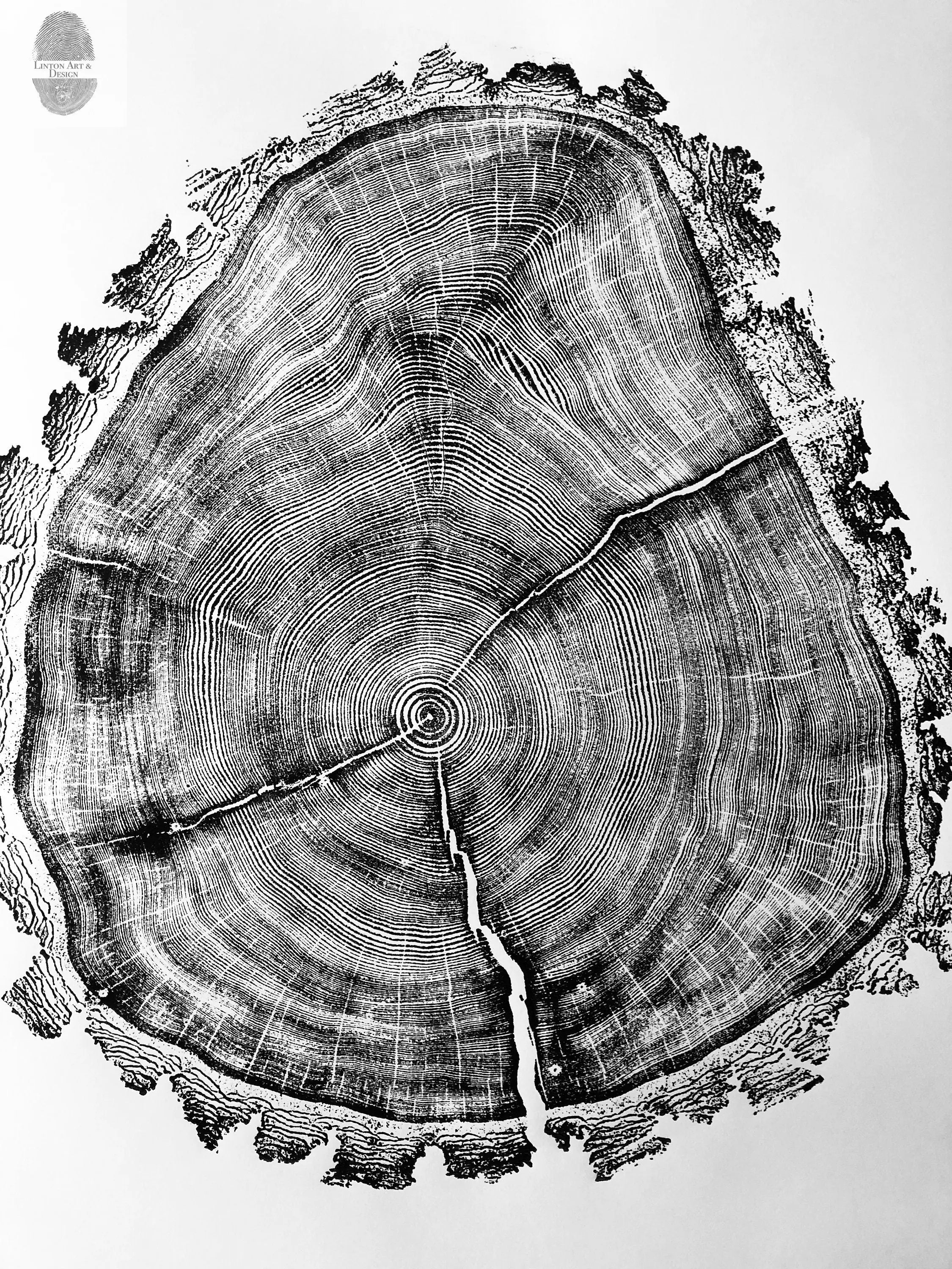 Utah Art, Tree Ring Print, Natural Wood Slice Wall Art by lintonart
