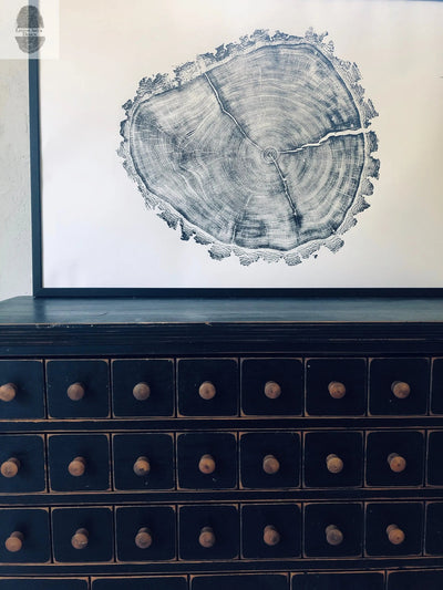 Utah Art, Tree Ring Print, Natural Wood Slice Wall Art by lintonart