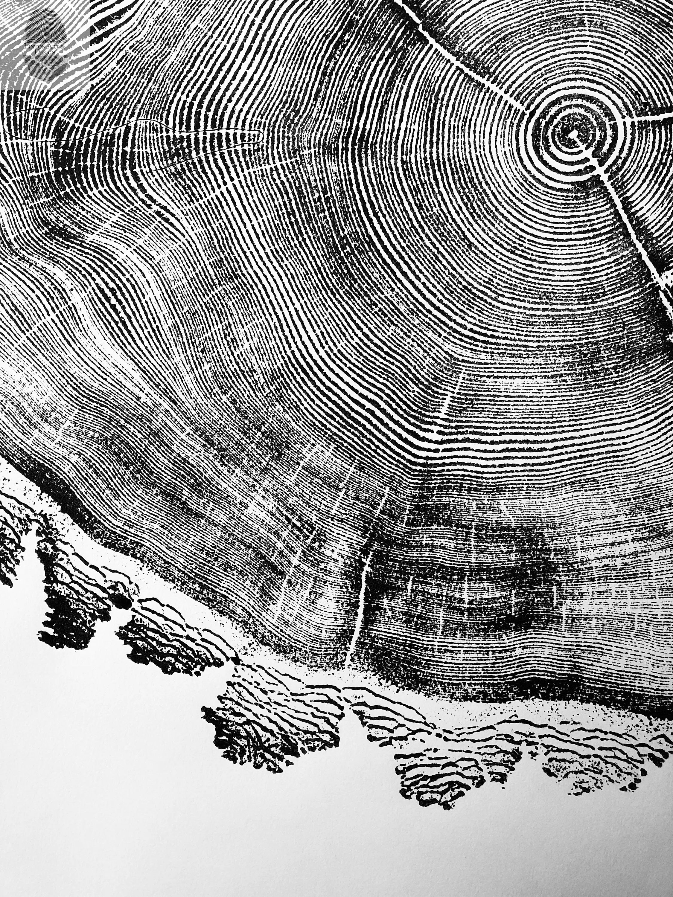 Utah Art, Tree Ring Print, Natural Wood Slice Wall Art by lintonart