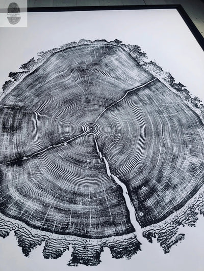 Utah Art, Tree Ring Print, Natural Wood Slice Wall Art by lintonart