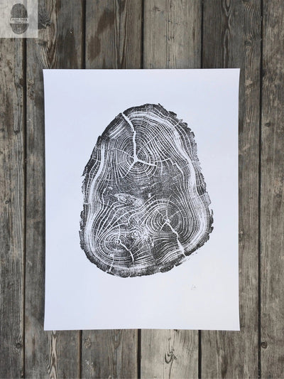 Utah Black Locust I - 18x24 print