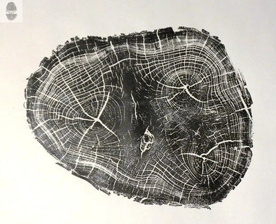 Utah Black Locust I - 18x24 print