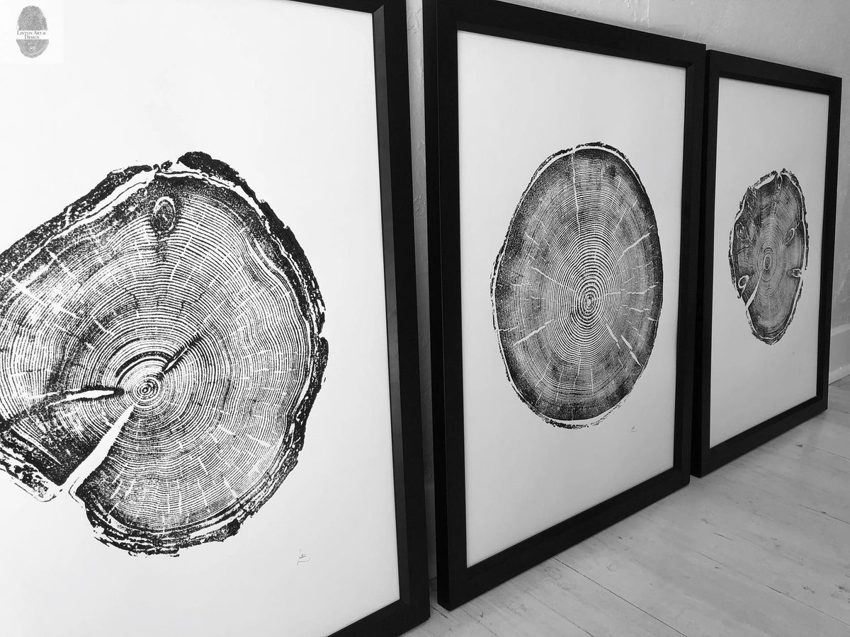 Three black and white framed prints of tree cross-sections arranged side by side on a light wooden floor against a wall, each print showing distinct growth rings and bark texture.