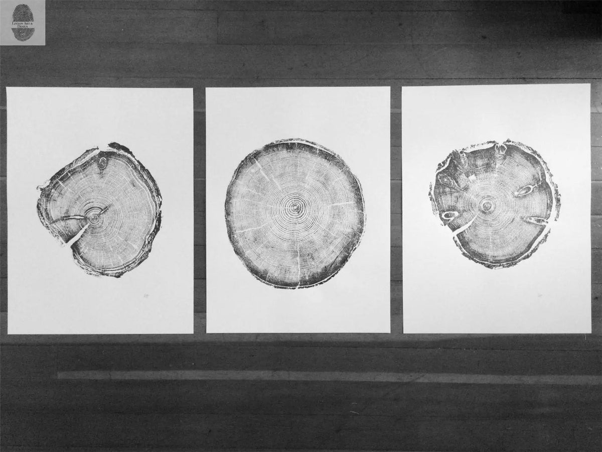 Black and white prints of three cross-section tree rings, each on separate white backgrounds arranged side by side on a wooden floor.