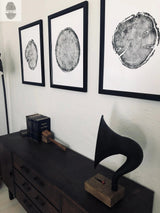 Three black-framed prints of pine tree ring cross-sections arranged horizontally above a dark wood dresser with vintage books and a black horn speaker on a wooden base
