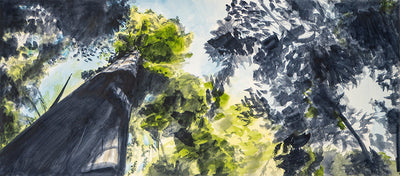 Beneath the Redwoods 2, Sonoma, watercolor painting by Art By Francis - main product image for Resin Society