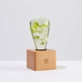 Handcrafted White Hydrangea Table Lamp with resin flower and wooden base