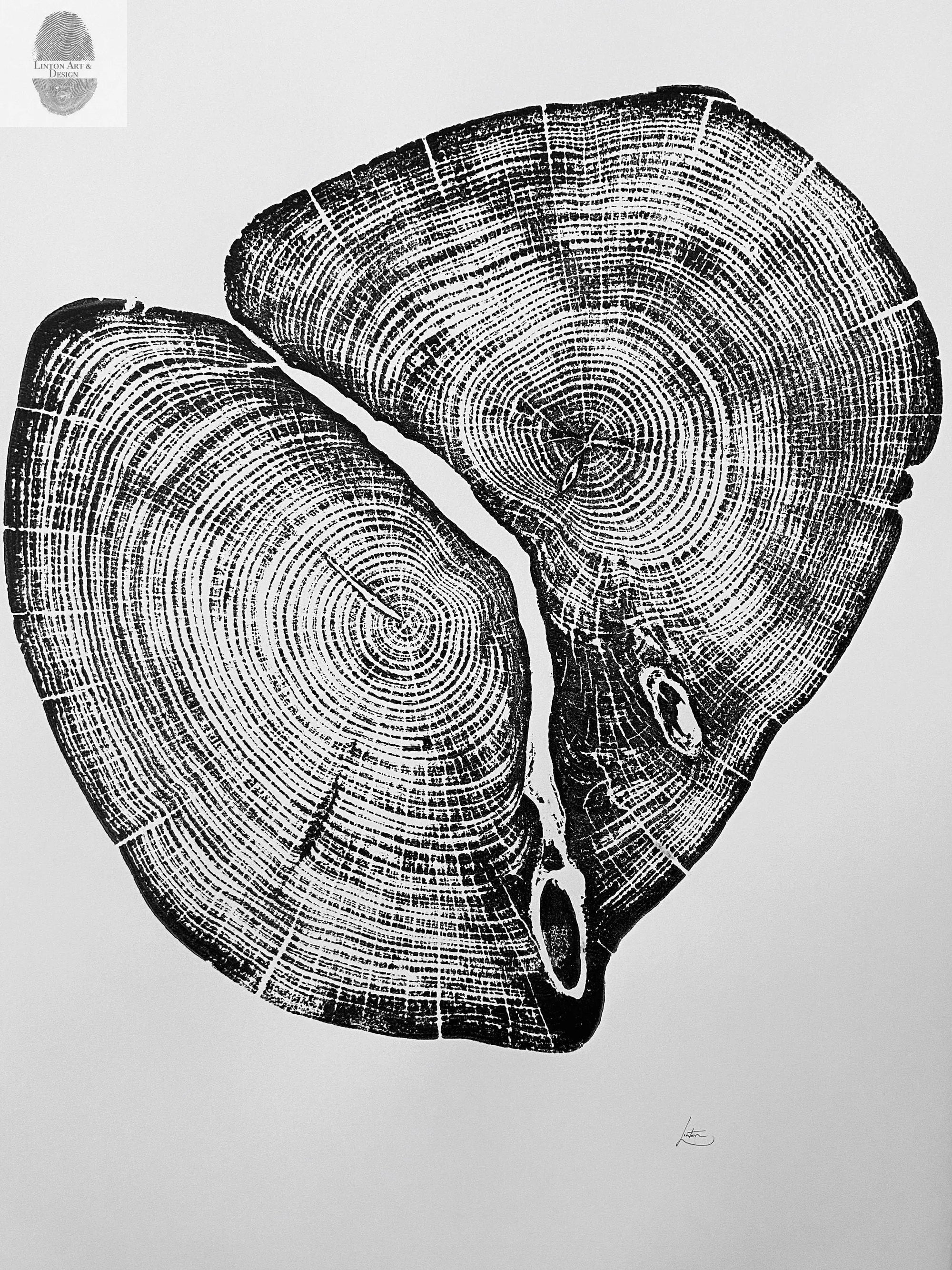 Waco Texas Cedar 18x24 print showing detailed rings of two main cedar trunks merging, printed with textured ink on white paper