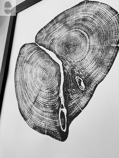 Waco Texas Cedar - 18x24 print