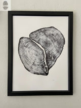 Black ink print of a cross-section of a cedar tree showing detailed growth rings and a large central split, framed in simple black against white background.