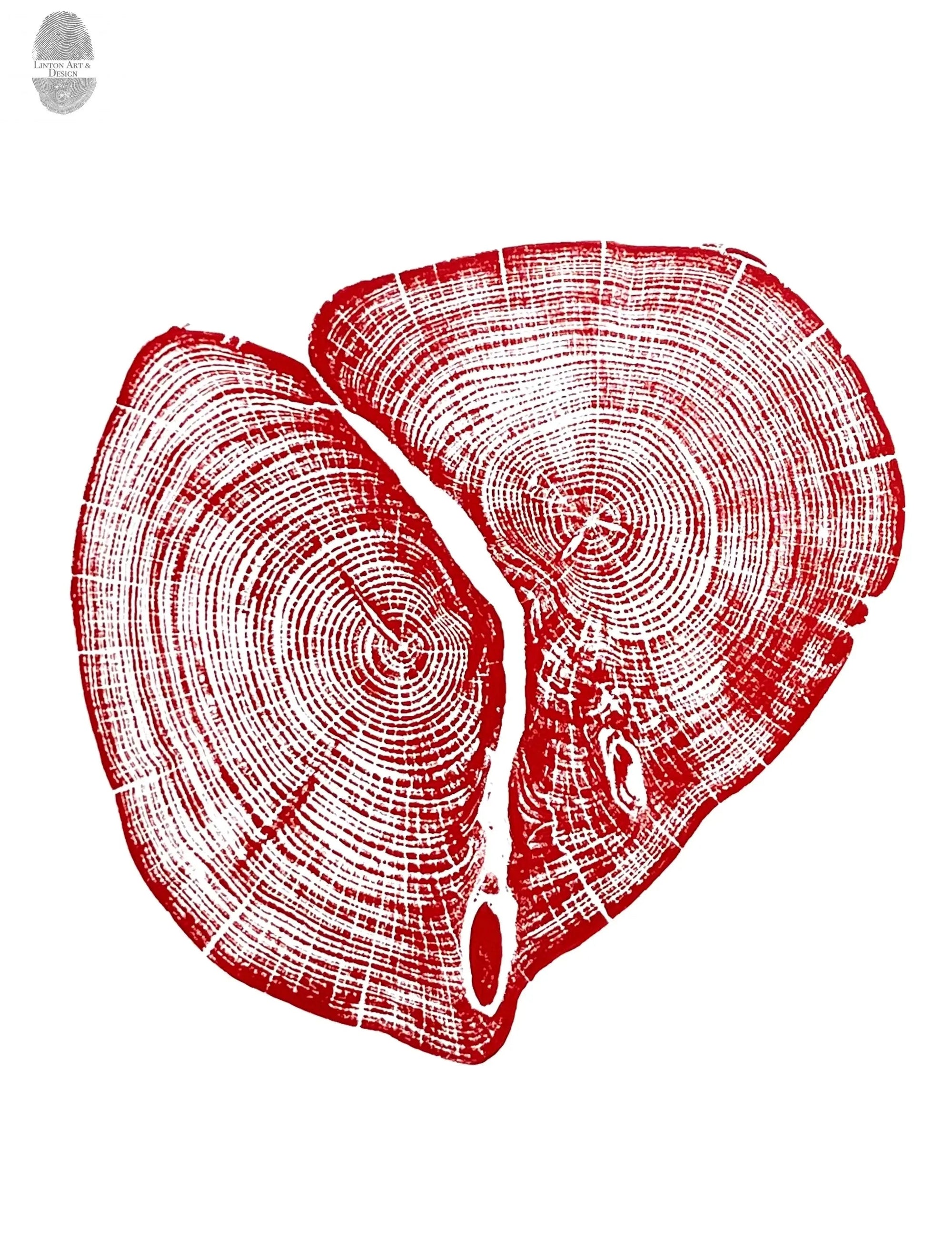 Red ink tree ring print from cedar wood, 18x24, by lintonart