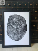 Black and white framed print of a pecan tree cross-section with detailed rings and cracks, leaning against a dark wooden cabinet with round knobs.