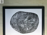 Black and white print of a tree cross-section showing concentric growth rings and natural cracks, framed in black and displayed against a light wooden floor.