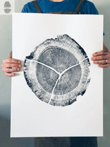 Black ink print of a cross-section of an oak tree trunk on white paper, showing detailed growth rings and three prominent cracks, held by a person in a blue shirt.
