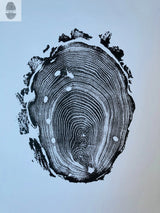 Black and white print of a Massachusetts tree ring cross-section showing detailed concentric growth rings and natural bark texture on a white background.