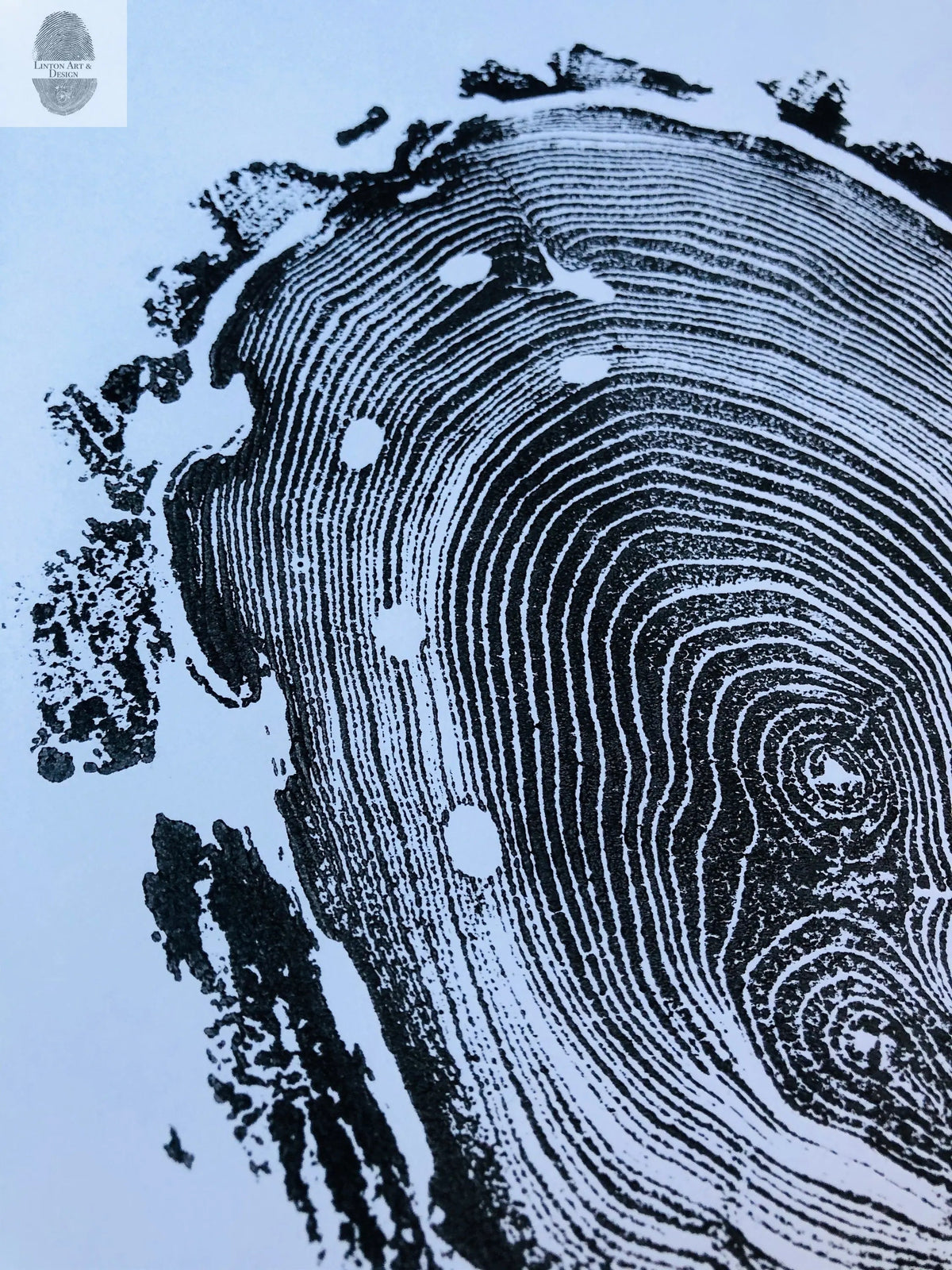 Black ink print of tree rings with irregular outer bark pattern on light blue paper, featuring distinct growth rings and white spots within the rings.