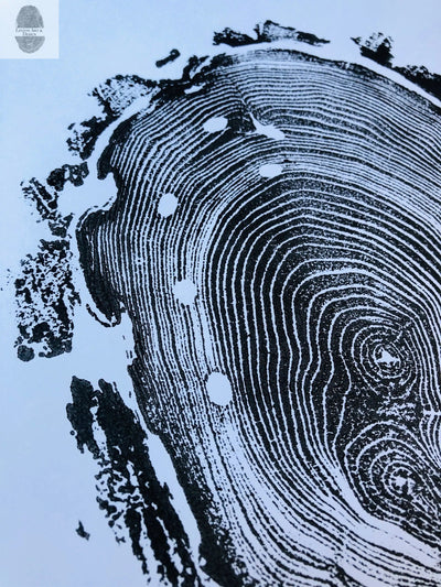 Walden Pond Print, Massachusetts Tree Ring Print - 18x24 print - Signed Original