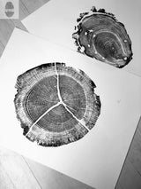 Two black and white tree ring prints on white paper, showing fine growth rings and natural cracks, placed on a light wooden floor.