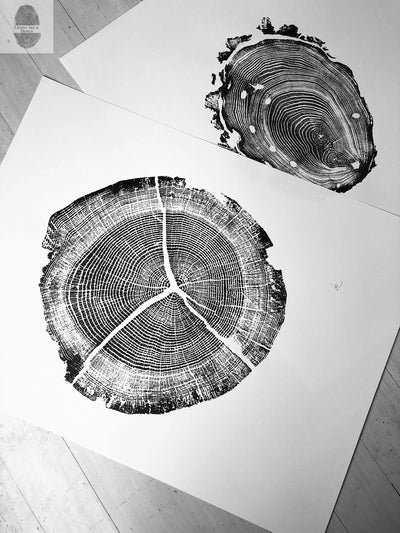 Walden Pond Print, Massachusetts Tree Ring Print - 18x24 print - Signed Original