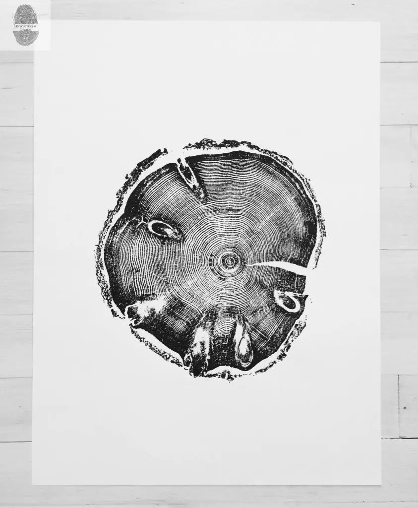 18x24 print of tree rings from a Utah Pine in the Wasatch Mountains